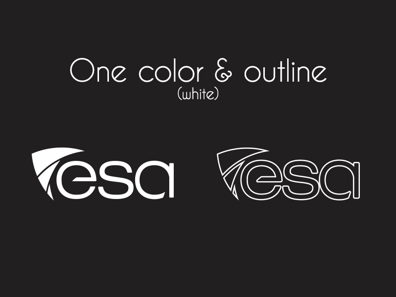 esa one color and outline logo (white)